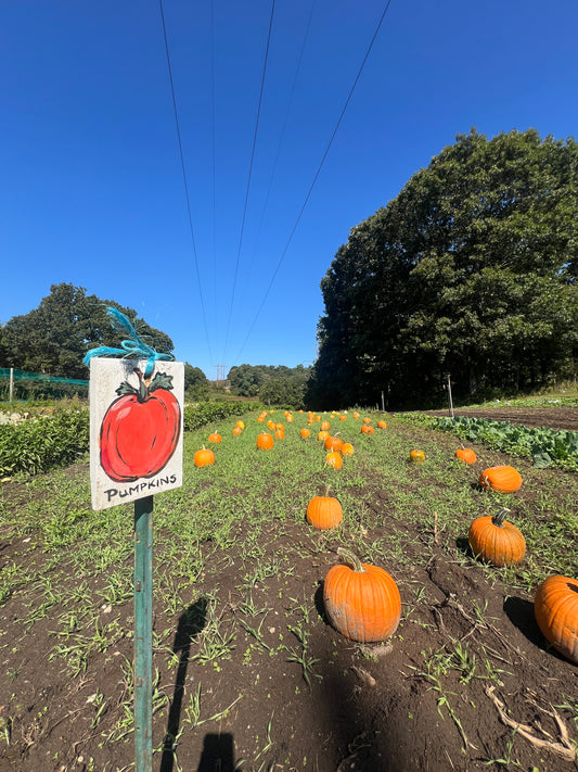 Fall Family Fun on the Farm