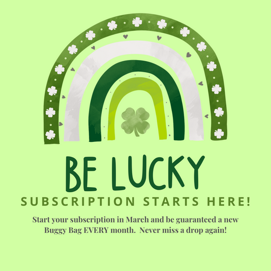 SUBSCRIPTION - New Bag EVERY Month!